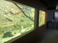 Restructuration et extension de l’aquarium des tropiques d’ALLEX
